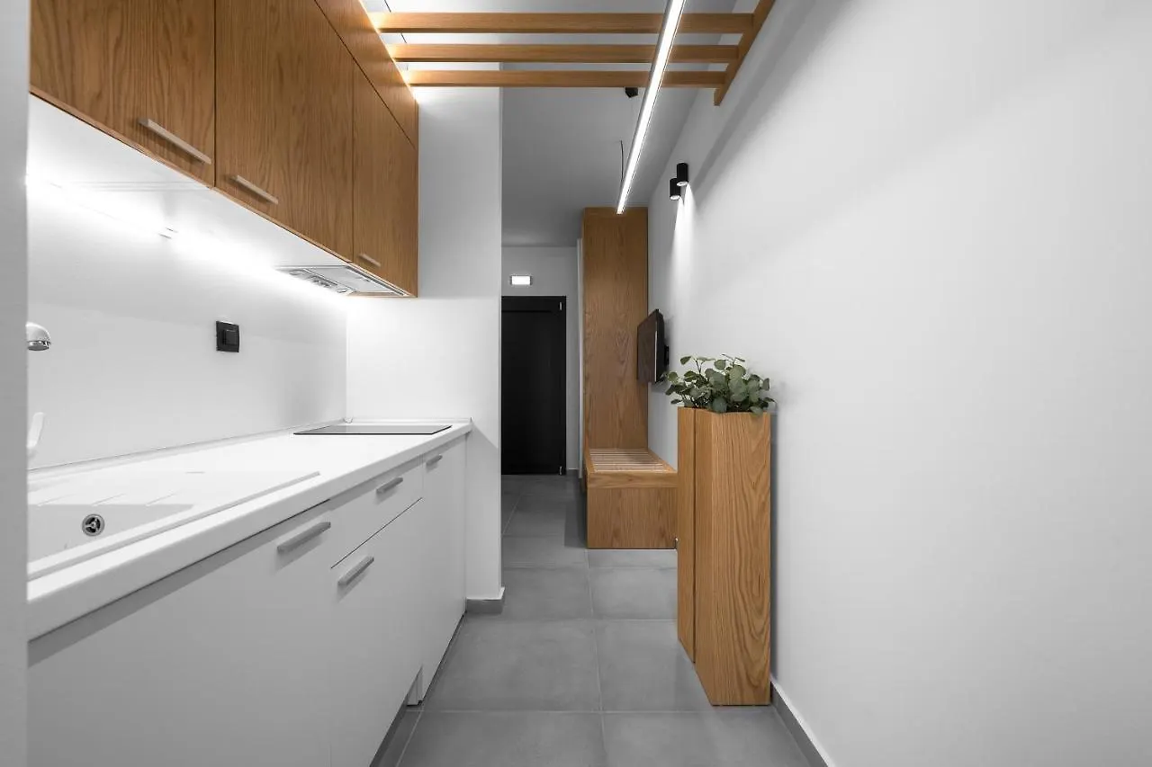 Rothos Luxury Apartment Stavros